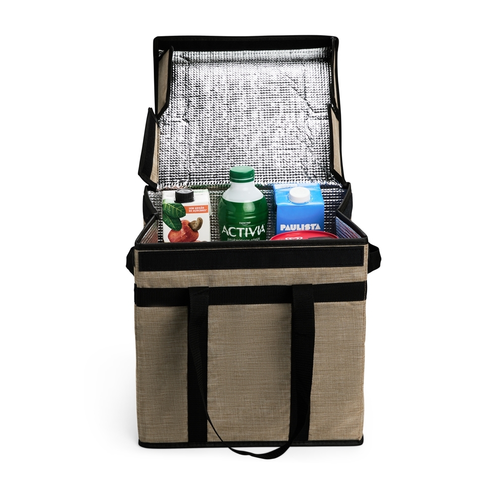 Bolsa Térmica 31 Litros