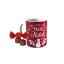 Kit Bolsa Térmica Panettone